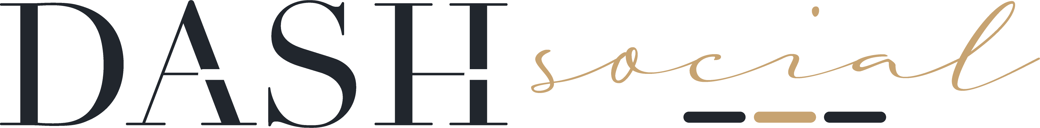 Dash Social Logo