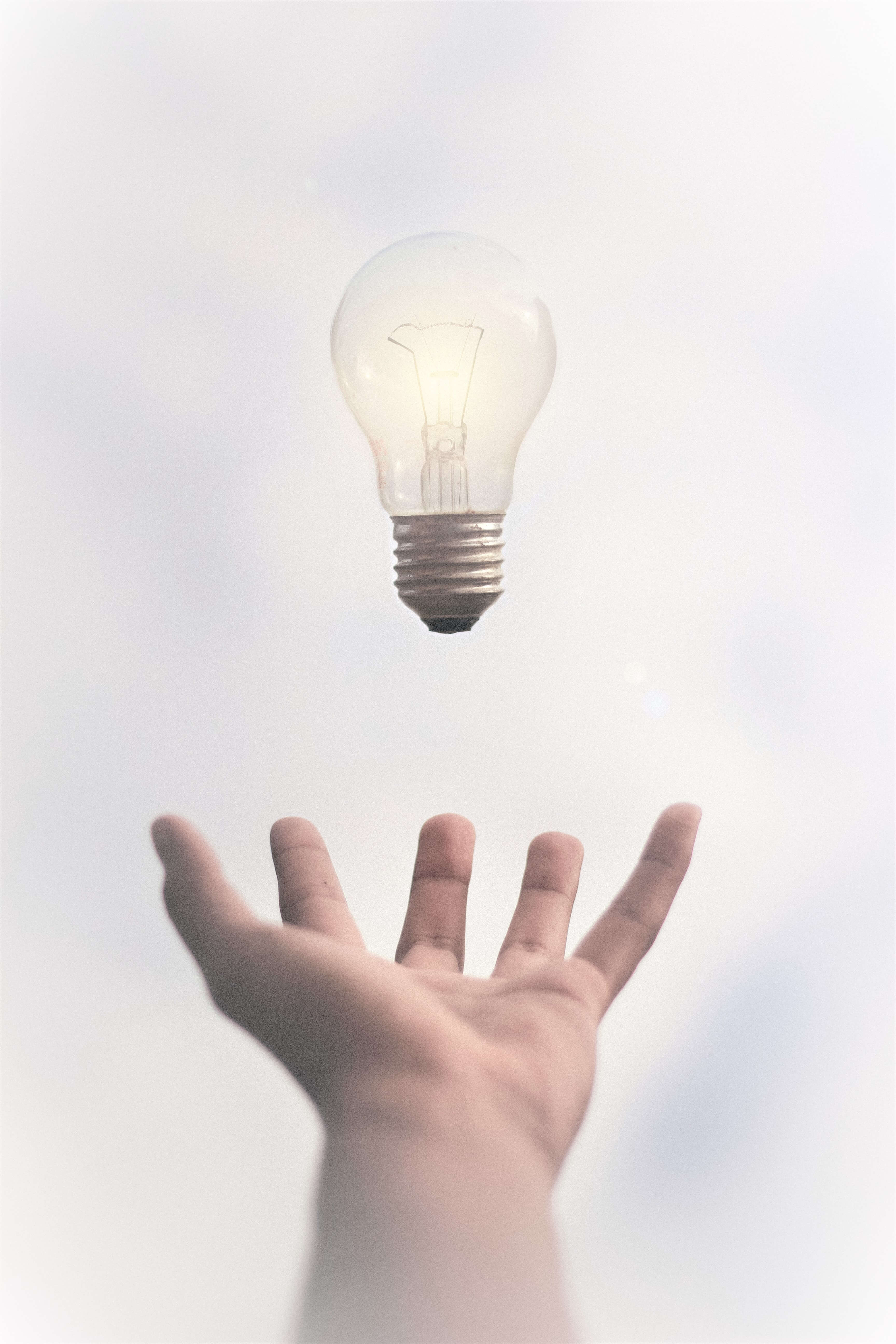 Fractional CMO Australia and New Zealand - Ideas